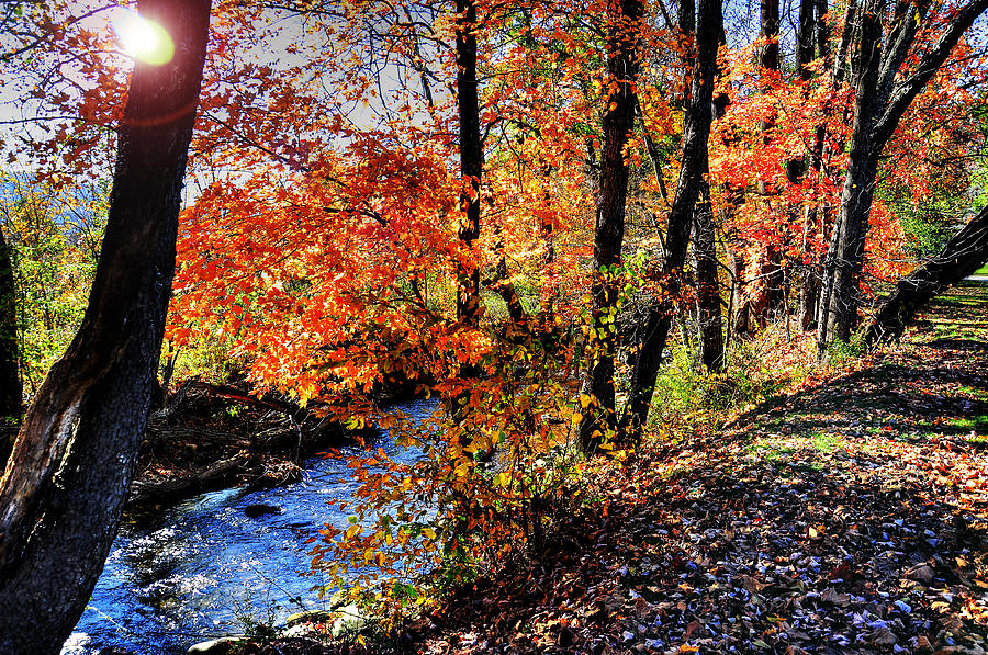 Fall in WNC Photograph by Craig Burgwardt