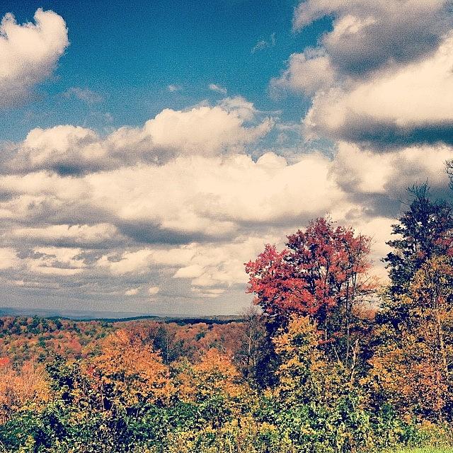 Fall In Wny Photograph by Courtney Blackmon