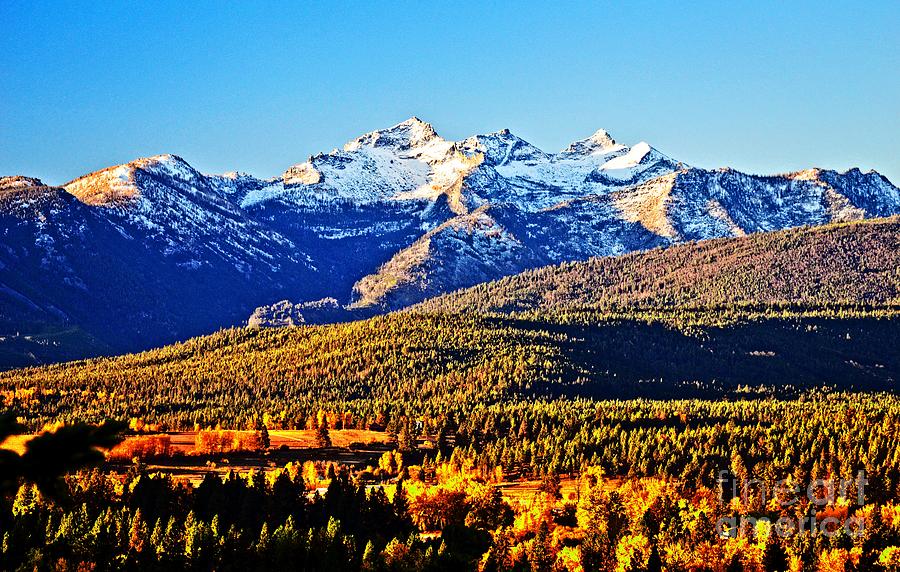 Fall in Montana Photograph by Joseph J Stevens