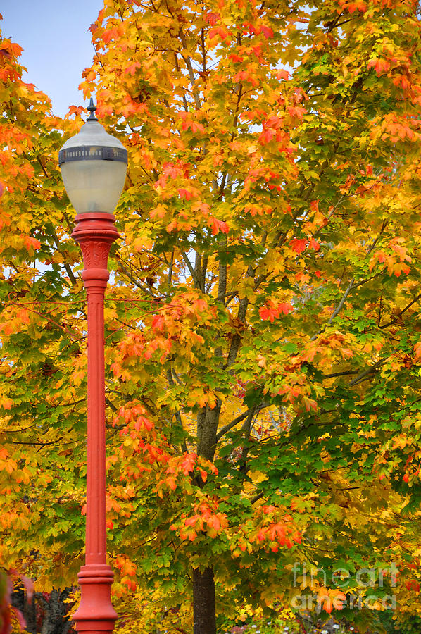 Fall Lamppost Photograph by Kirt Tisdale