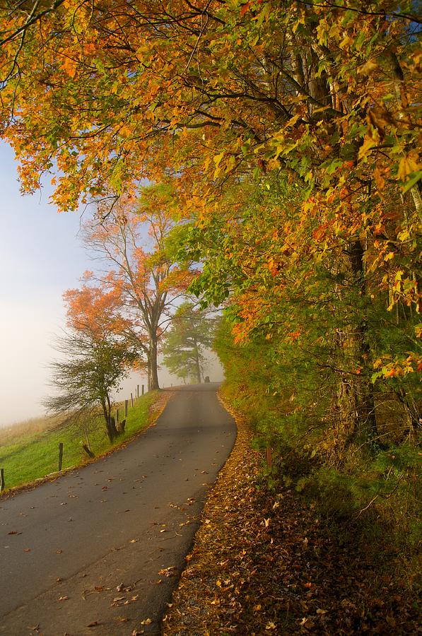 Fall Lane Photograph by Keith Nicodemus - Fine Art America