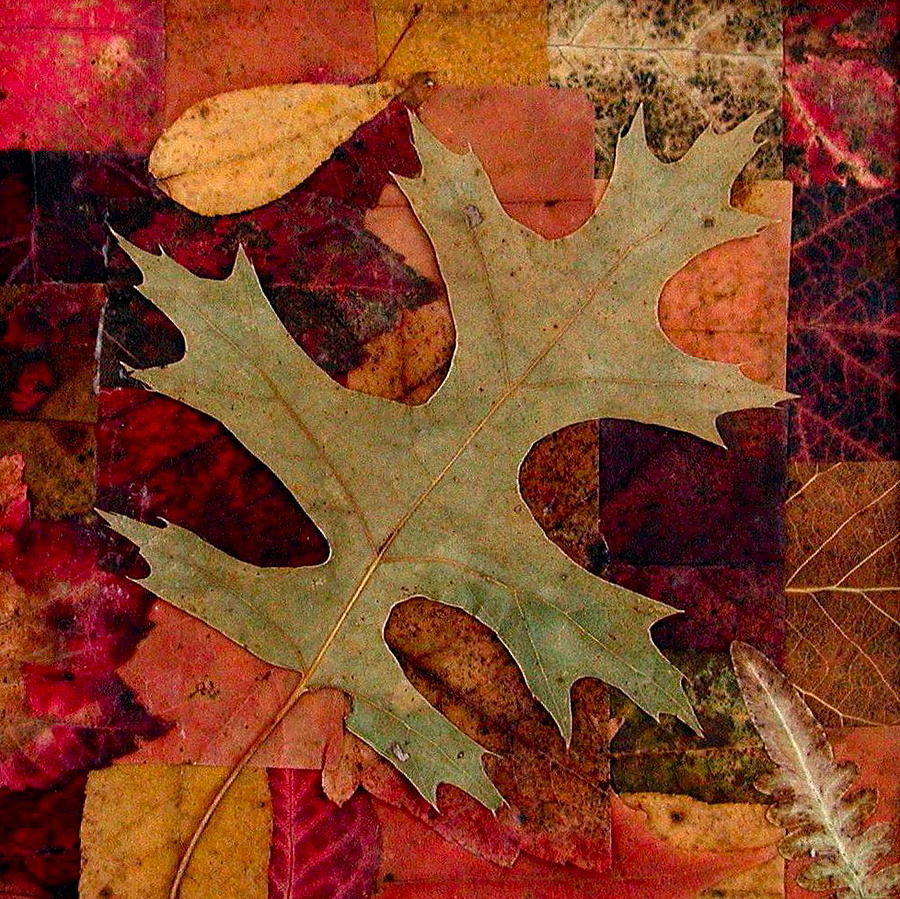 Fall Leaf Collage Mixed Media by Anna Ruzsan