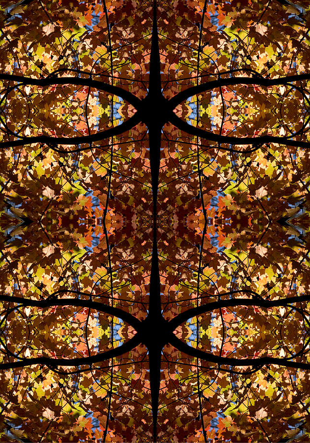 Fall Leaf Kaleidoscope Photograph