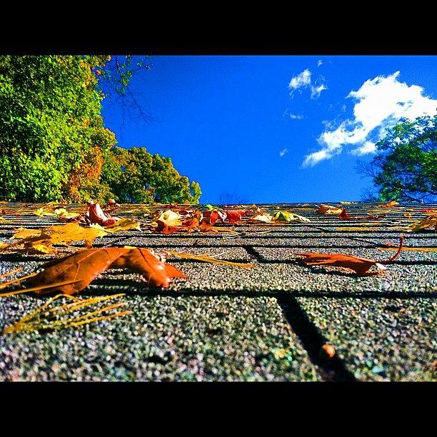 Fall Photograph - #fall #leafs #colors #skyporn Bluesky by Nate Greenberg