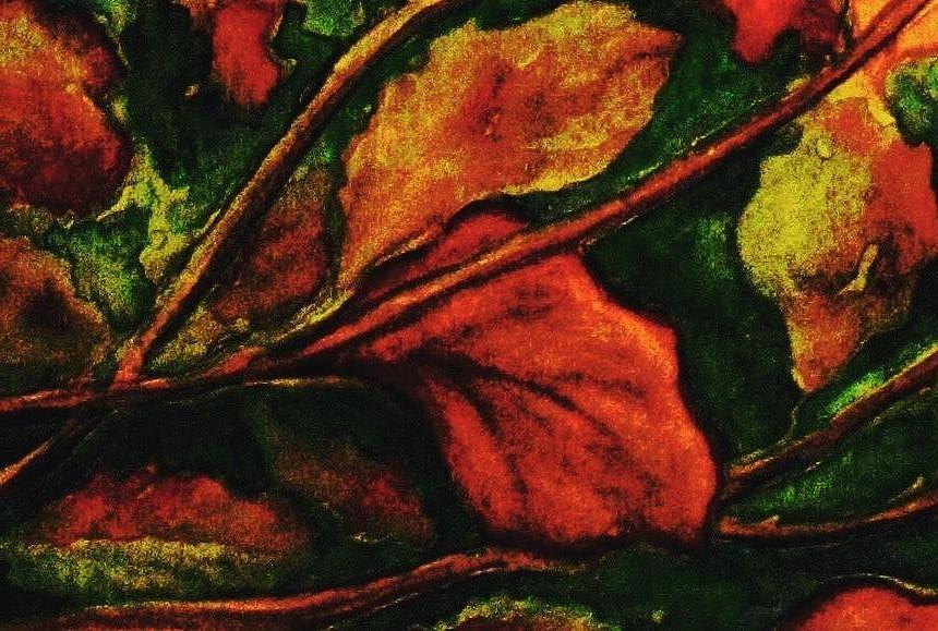 Fall Leaves 1 Painting by Hazel Holland