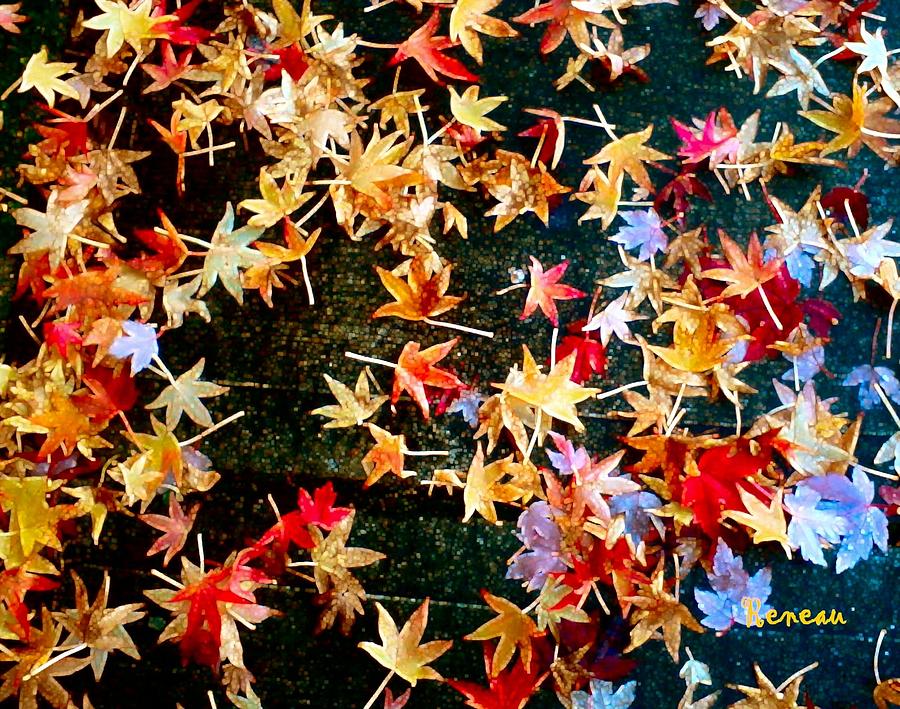 Fall Leaves 2 Photograph by A L Sadie Reneau