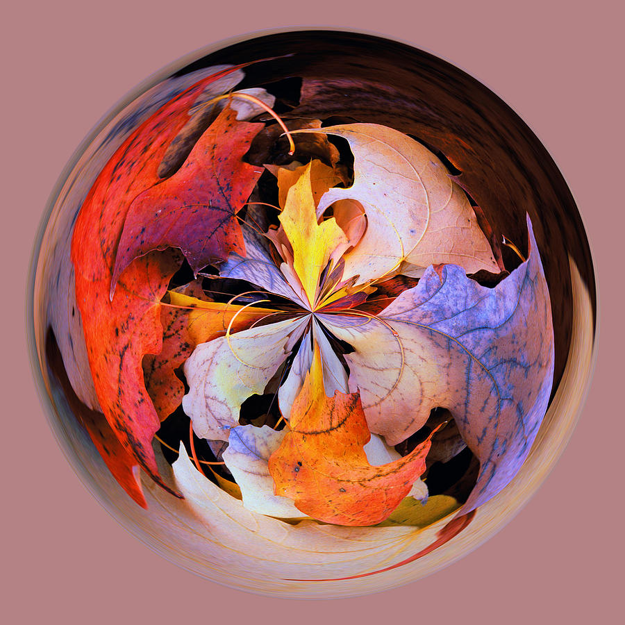 Fall Leaves Orb Photograph by Bill Barber