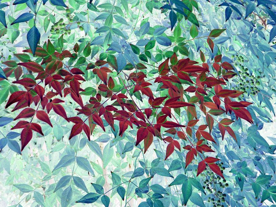 Fall Leaves - PhotoPower 1735 Photograph by Pamela Critchlow