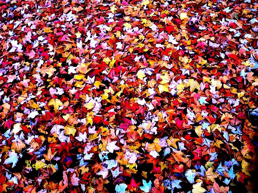 Fall Leaves Photograph by A L Sadie Reneau