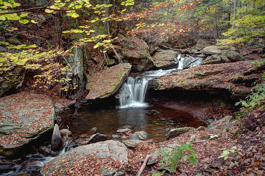 Fall Leaves surround The Unsung Waterfall - AKA Aarons Cascade Photograph by Gene Walls