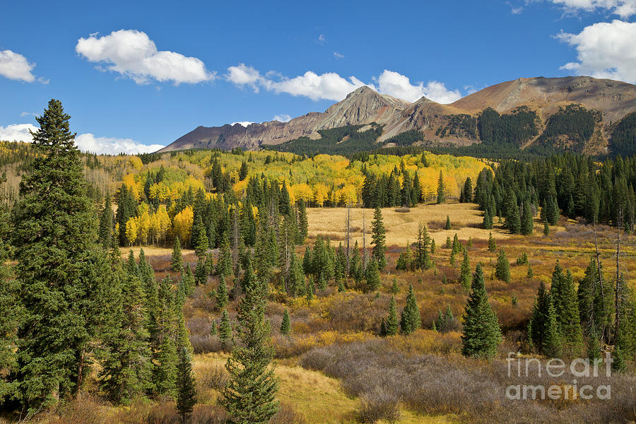 Fall Meadow Rocky Mountains Colorado Photograph by Yva Momatiuk John Eastcott