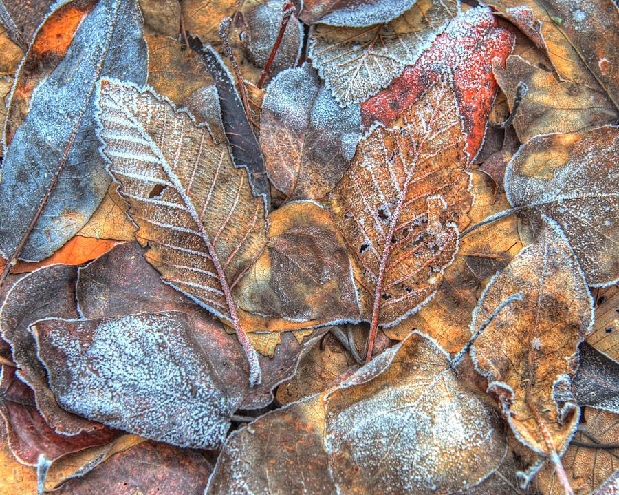 Fall Meets Winter Photograph by Jeff Cook