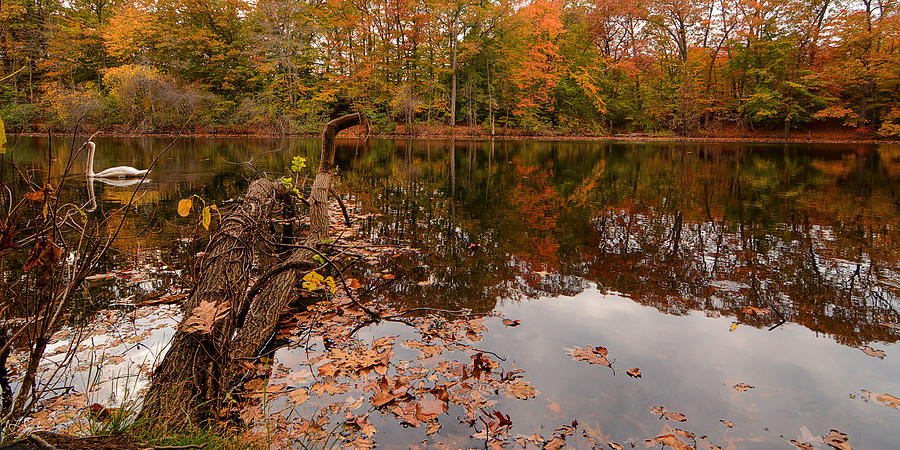 Fall Photograph - Fall Memories by Lourry Legarde