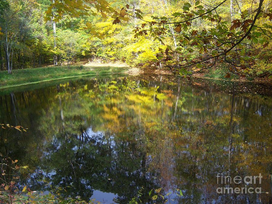 Fall Mirror Photograph by Pamela Clements