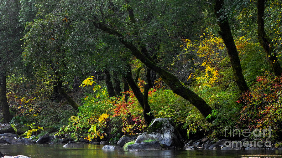 Autumn on the Yuba River  #1 Photograph by Leslie Wells