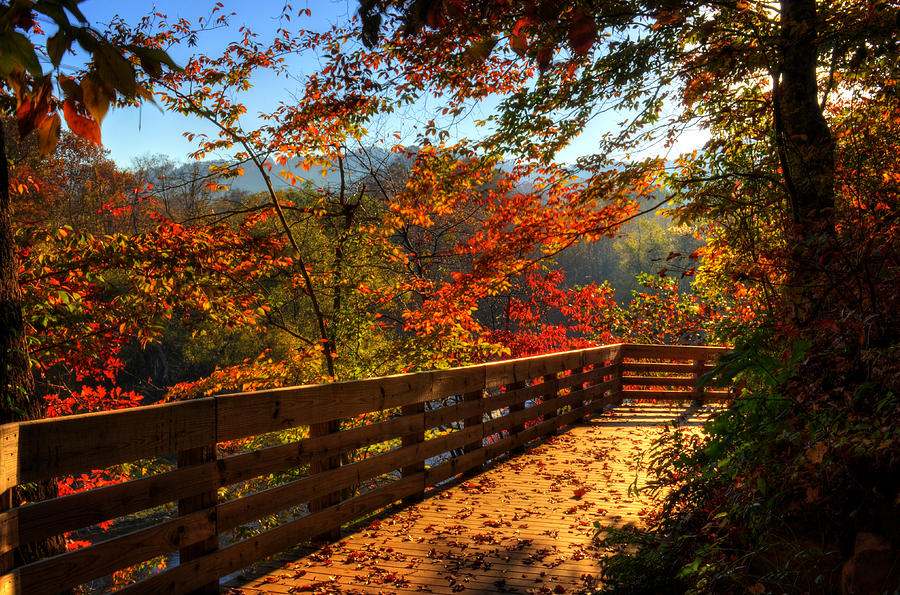 Fall Photograph - Fall Morning Walk by Greg and Chrystal Mimbs