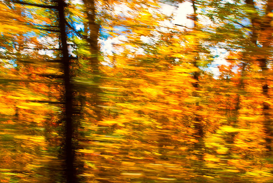 Fall Motion Photograph by Michael Hubley