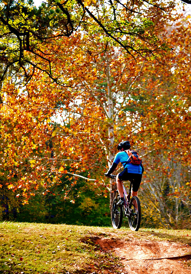 Fall Mountain Bike Ride Photograph by Sandi OReilly