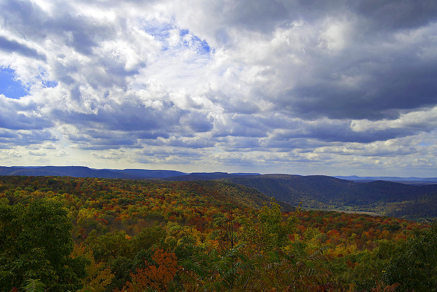 Fall Mountain Colors Photograph by Elsa Santoro