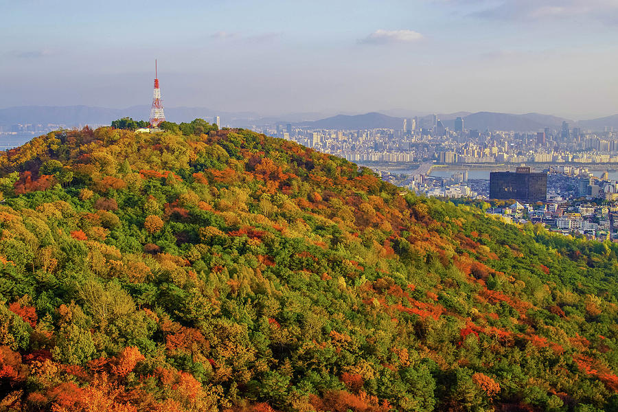 Fall Mountain Photograph by Sungjae Pyeon