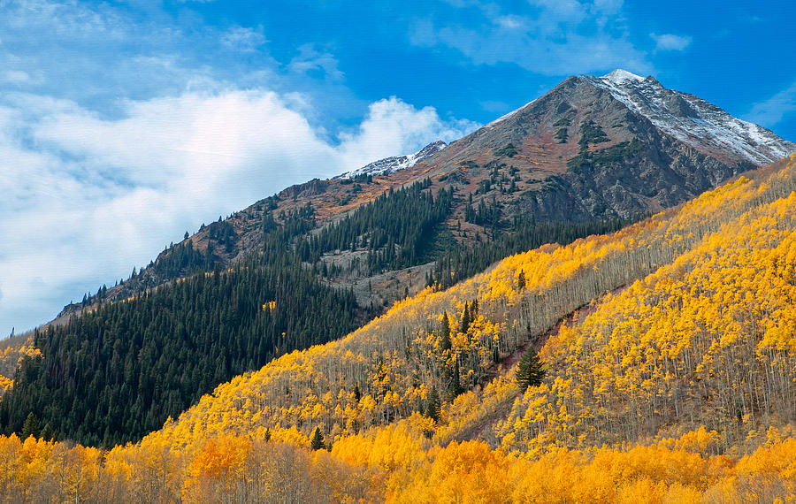 Fall Mountains Photograph by Tim Reaves