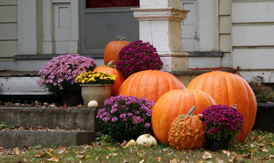 Fall Mums and Pumpkins Photograph by Lois Lepisto