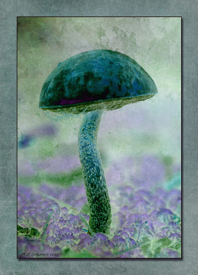 Fall Mushroom 19 Photograph by WB Johnston
