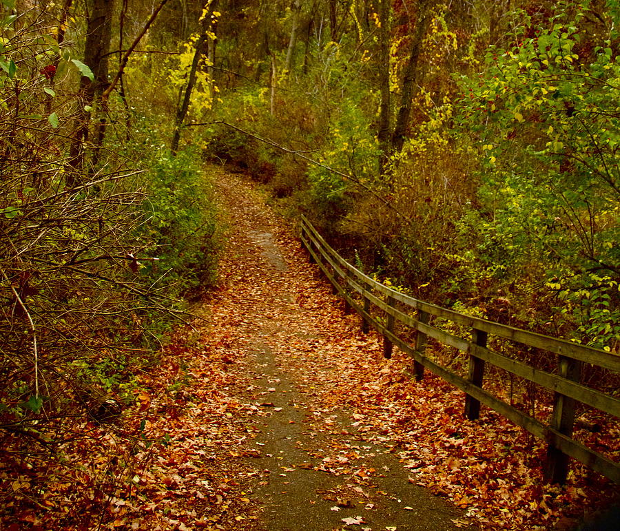 fall-nature-walk-photograph-by-kimberly-davidson