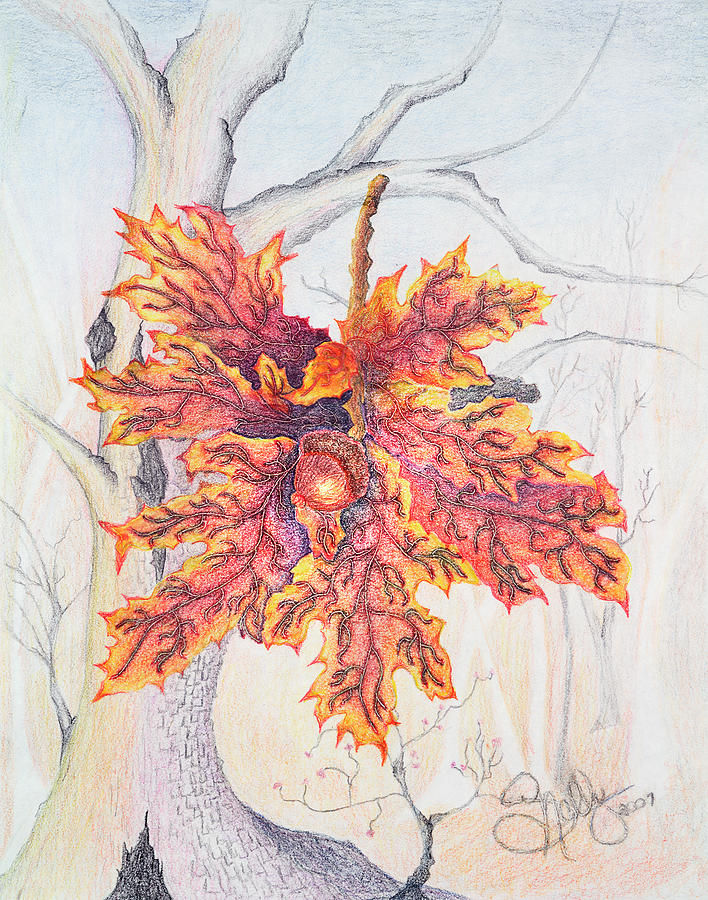 Color Pencil Painting - Fall Oak Tree by Shelly Ziska