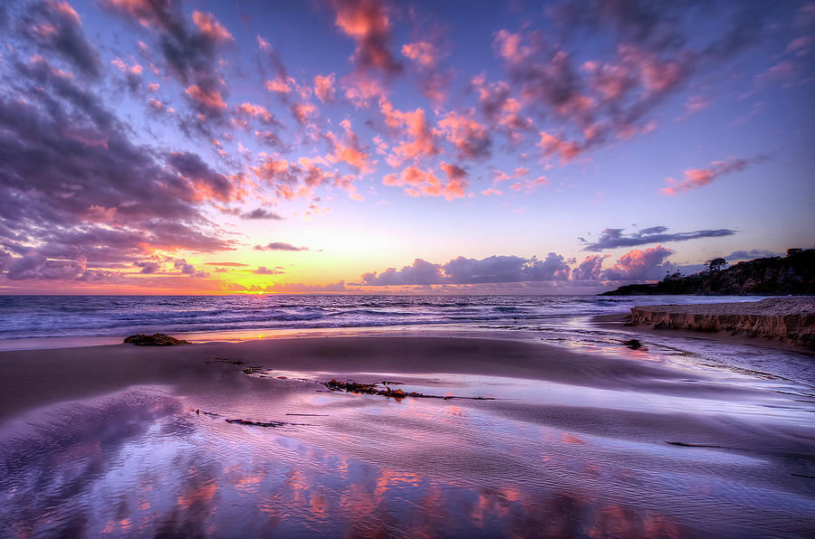 Fall Ocean Leaves by Image By Sean Foster