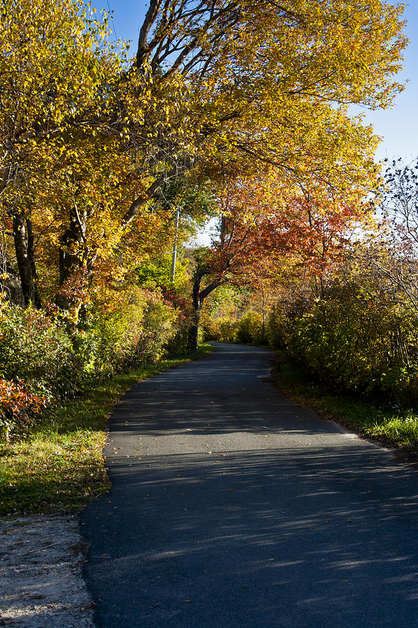 Fall On Cape Cod 9 Photograph by Dennis Coates