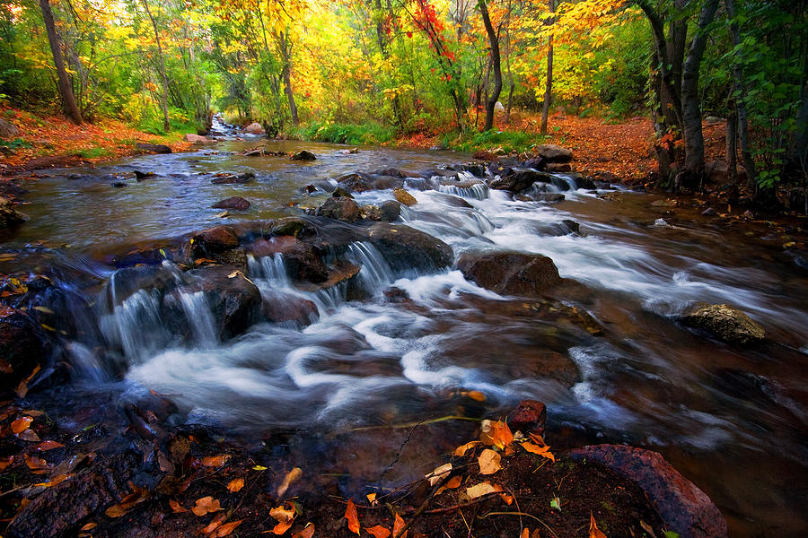 Fall on Fountain Creek Photograph by Ronda Kimbrow