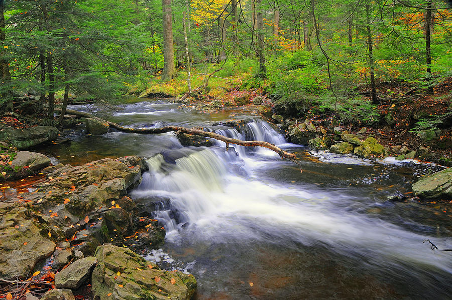 Fall On Kitchen Creek Photograph by Dan Myers