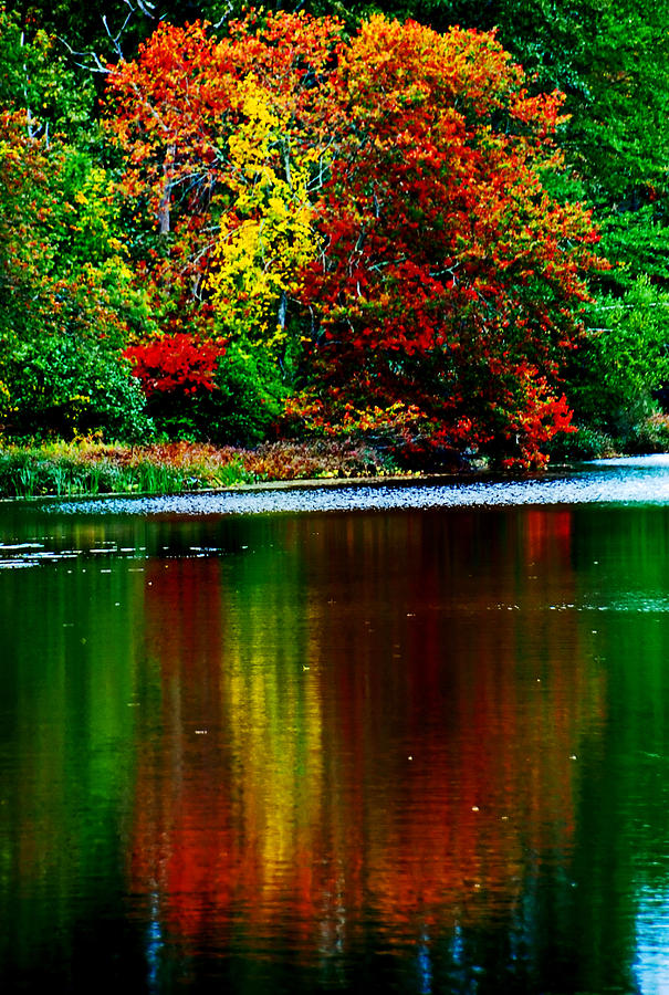 Fall on Silver Spring Lake Photograph by Bill Jonscher
