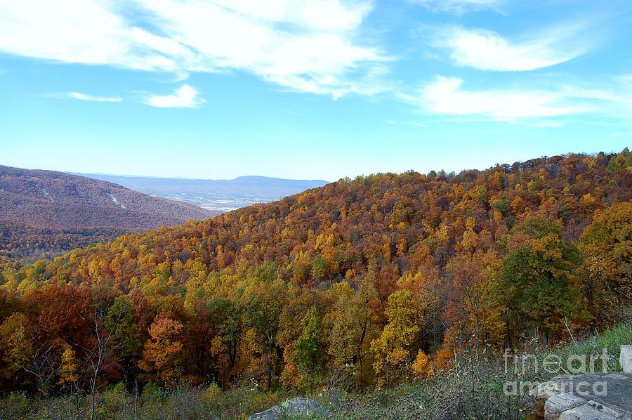 campgrounds on skyline drive campgrounds on skyline drive