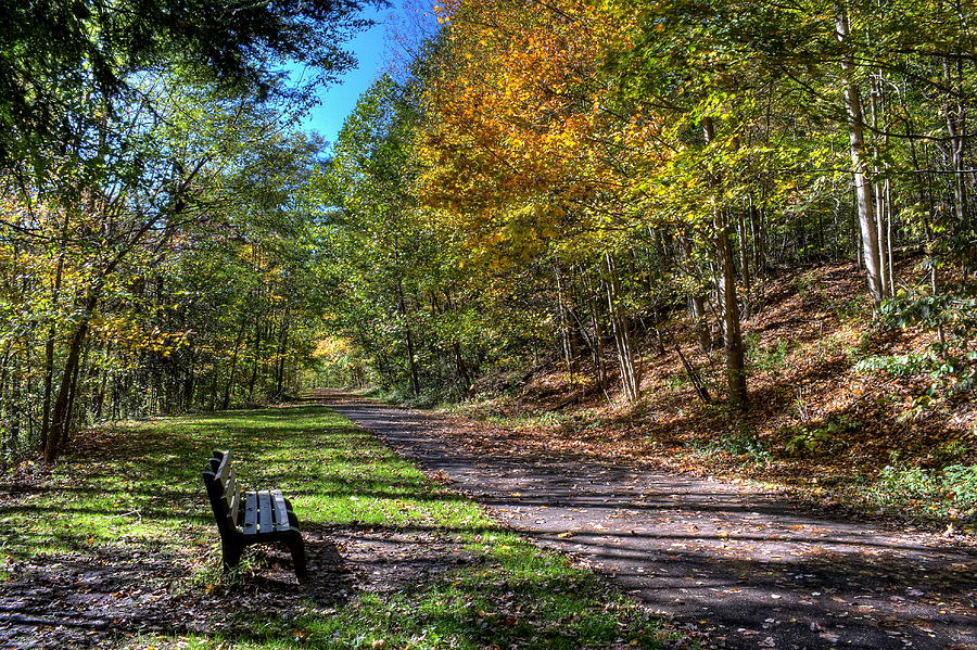Fall on the Biketrail Photograph by David Dufresne