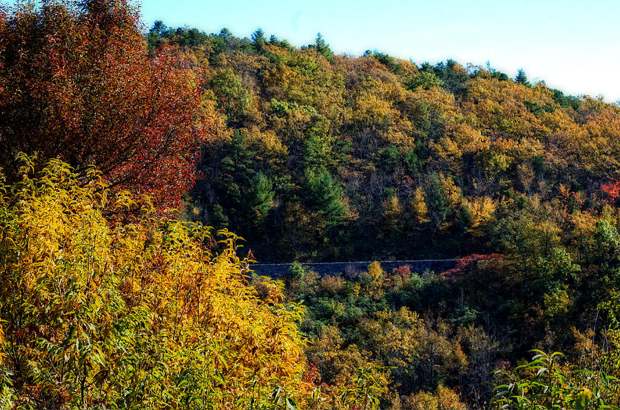 Fall on the Blue Ridge Parkway Photograph by Cathy Shiflett
