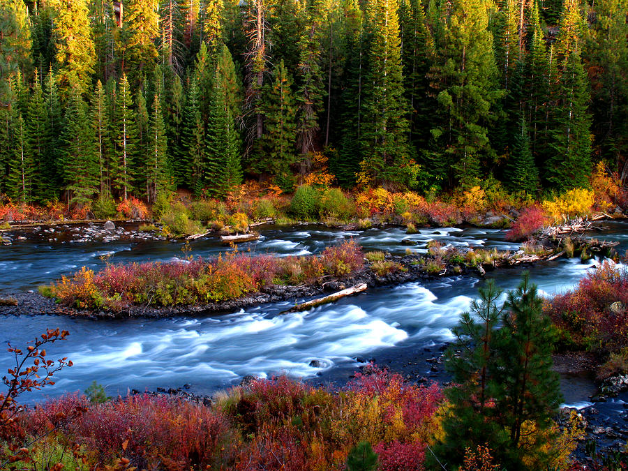 Fall Colors on the Deschutes River Near Mount Bachelor Photograph by Kevin Desrosiers