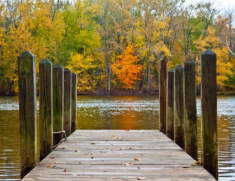 Tree Photograph - Fall on the Dock by Amy Lingle