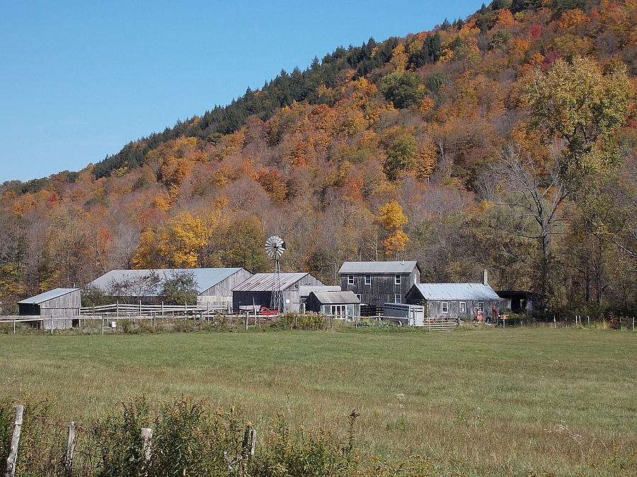 Fall on the Farm in Vermont 1 Photograph by Nina Kindred