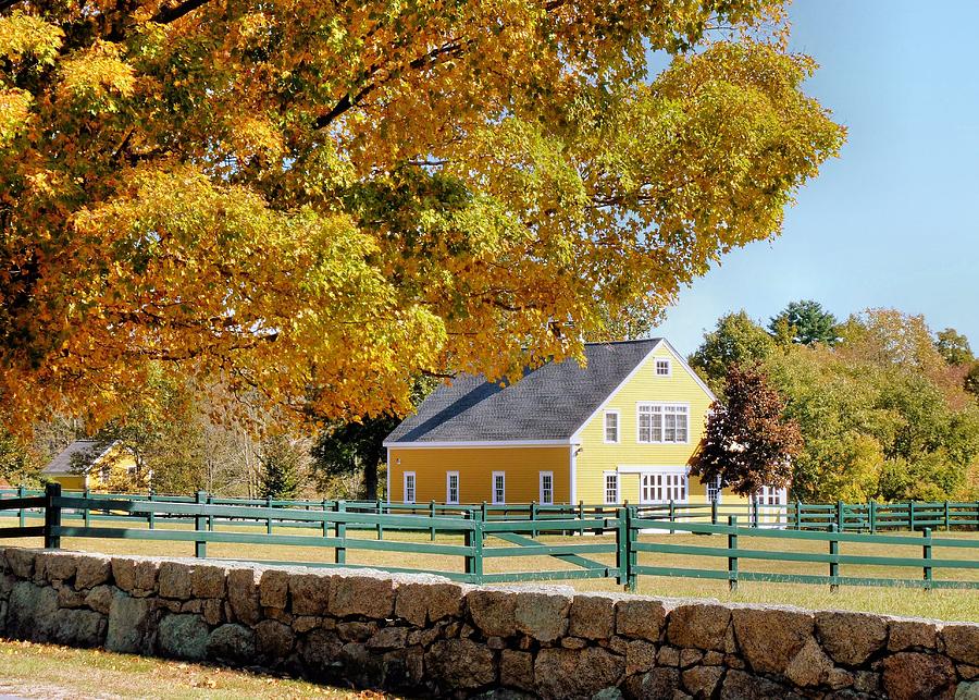 Fall on the Farm Rochester  Photograph by Janice Drew