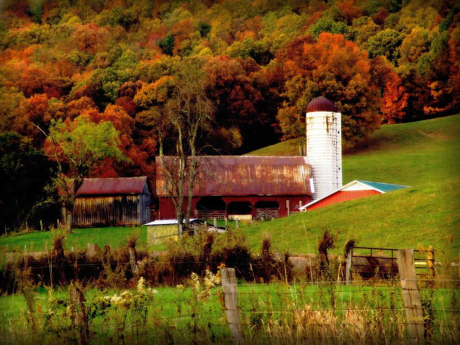 Fall on the Farm Photograph by Lisa Lambert-Shank