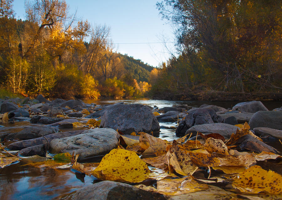 Fall Photograph - Fall on the Little Blackfoot River by Daniel Wilde