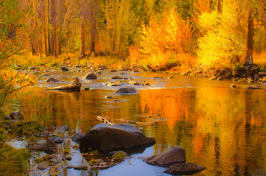 Fall On The Little Truckee River Photograph by Sherri Meyer