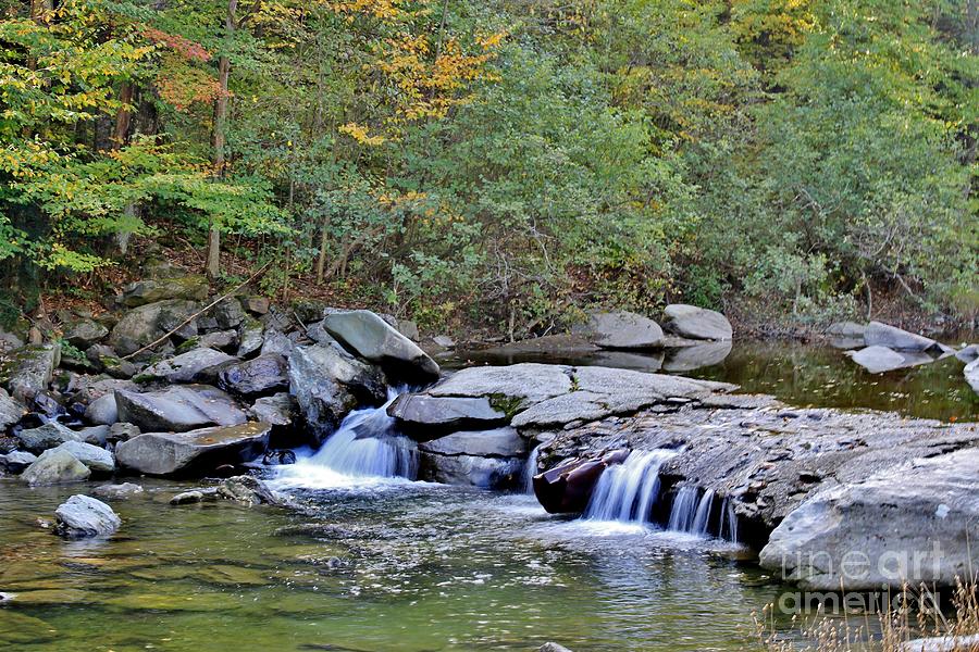 Fall Photograph - Fall on the River by Butch Phillips