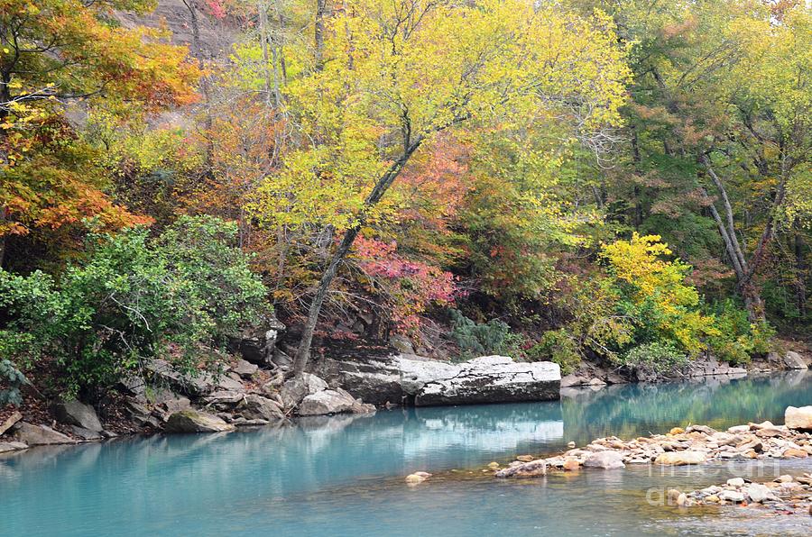 Nature Photograph - Fall on the River by Deanna Cagle