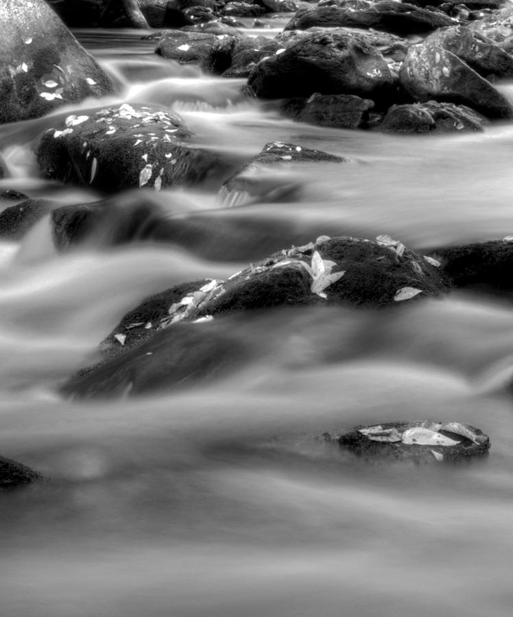 Fall On The River in Black and White Photograph by Greg and Chrystal Mimbs