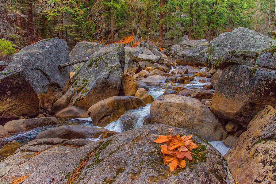 Yosemite National Park Photograph - Fall on the Rocks by Lynn Bauer
