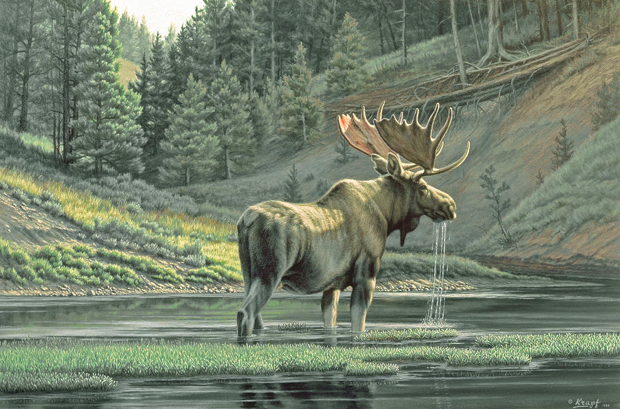Wildlife Painting - Fall on the Yellowstone by Paul Krapf