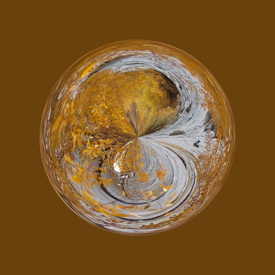 Abstract Photograph - Fall Orb by Brent Dolliver